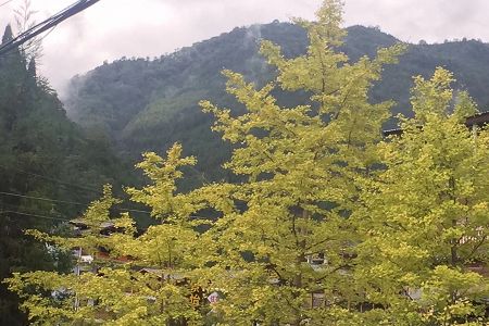 绵阳有哪些重点高中-见如下19所高中
