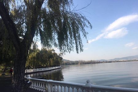 新华中学怎么样,见2024年排名