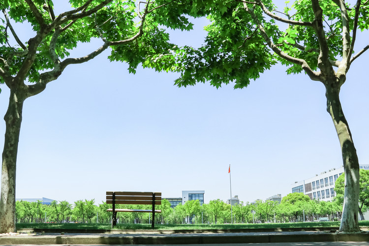 2025年上海中考中本贯通行情预测