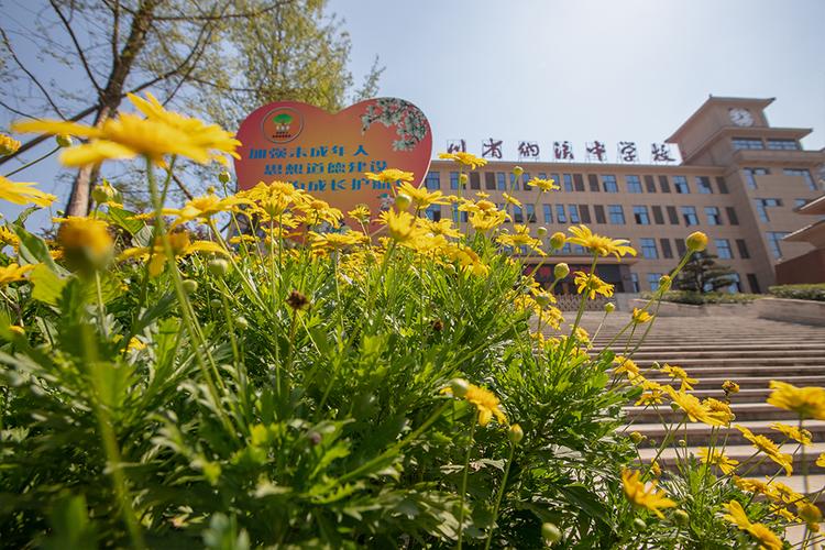 2025年泸州市四川省纳溪中学校近三年的招生分数线|录取分数线是多少 2025年泸州市四川省纳溪中学校近三年的招生分数线|录取分数线是多少